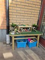 20250415_095812.jpg
