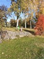 cbfddd19c2f9412cb2d7154d71023bef.jpg